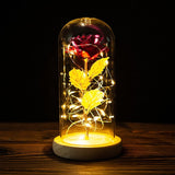 Led Enchanted Galaxy Rose